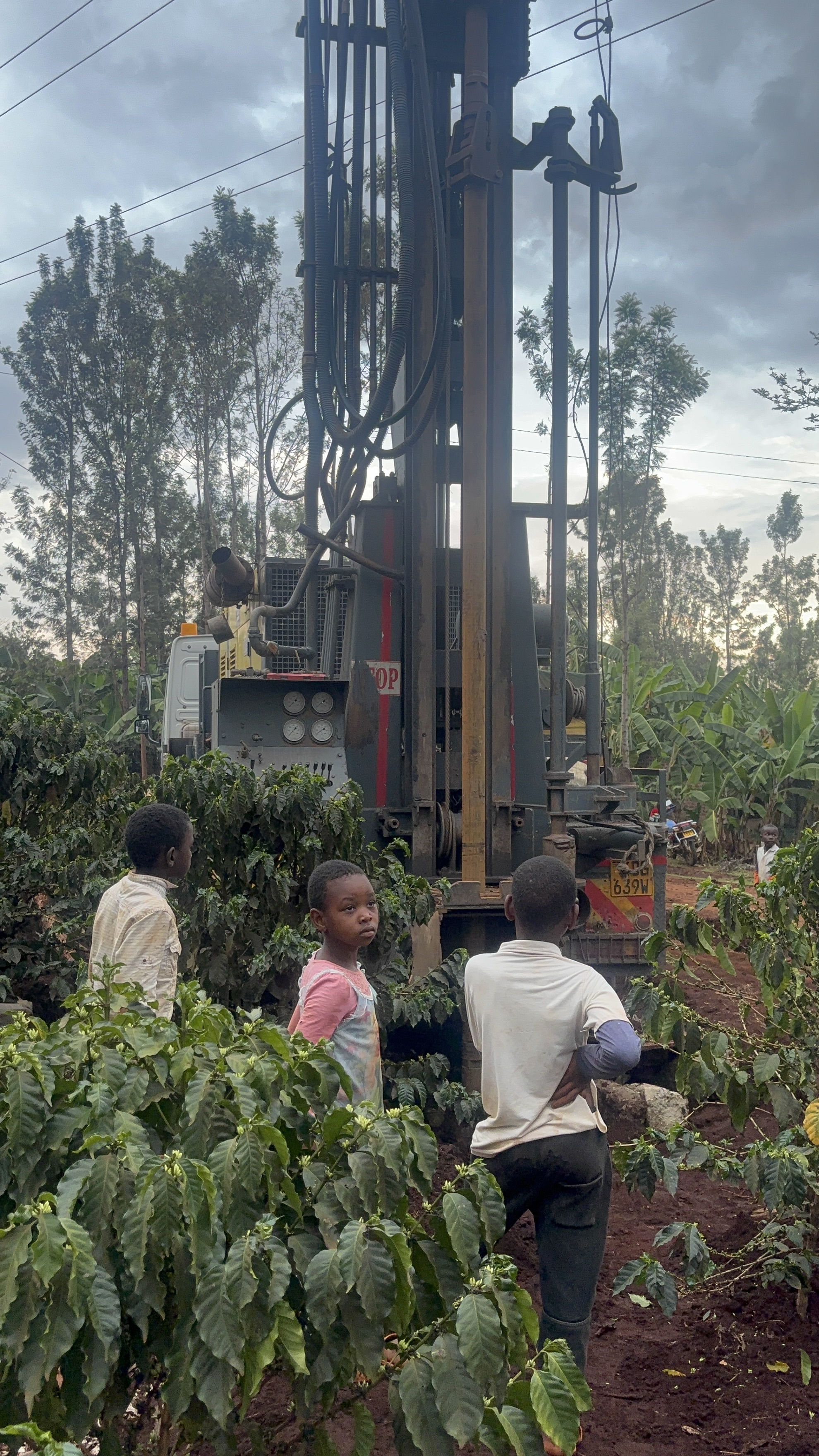 Karurumo farm site preparation, Embu